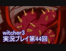 探し人を求めてwitcher3実況プレイ第44回