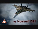 Ace Combat 7 Extra106 バトルロイヤル Nowwell氏とのタイマン総集編