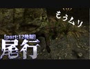 【縛り実況】 盗賊王に俺はなる【The Elder Scrolls V Skyrim】part11 尾行【後編】