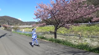 【りれいあいがに】DA PUMP 桜　踊ってみた