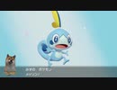 瀕死になったら即リストラ～ガラル地方に遊びにきた駄犬#1【ポケットモンスターシールド】