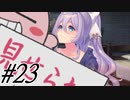 【素晴らしき国家の築き方 実況プレイpart23】金金って言うんじゃねえよ商人の鑑がオォン！？