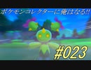 ポケモンコレクターに俺はなる!!#023