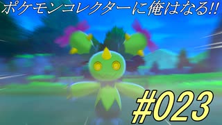 ポケモンコレクターに俺はなる!!#023