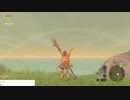 軽い縛りとマスターモードでゼルダの伝説ブレスオブザワイルドpart160。