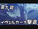 【実況】さぁ狩りの時間だ【MH:W IB】12日目