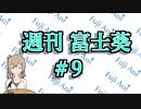 【11/25～12/1】だいたい3分で分かる先週の葵ちゃん【週刊富士葵#9】