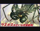 「ラスボス」みたいな肉食生物を大量のシロアリで囲むと・・・。