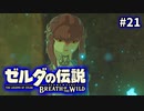 21#ブレス オブ ザ ワイルド[生放送実況プレイ]会員限定