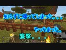 【ソランクラフトpart4】やっちまった。襲撃をくらうSoraN｛マイクラswitch実況｝