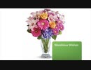Same Day Flower Delivery Baltimore MD - Send Flowers | 667-401-8687