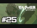 【実況】リンクのハイラル道中膝栗毛 part25【ゼルダの伝説BotW】