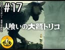 【初見実況】納豆とトリコがいく　遺跡の冒険　その17