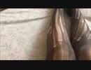 Anonymousmasturbatorium - self sucking