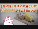 【怖い話】ネズミの落とし穴彡(ﾟ)(ﾟ)「ネズミの足音かいな」