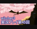 探し人を求めてwitcher3実況プレイ第45回