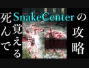 【死んで覚える】SnakeCenter(突撃槍)の攻略 Parry Godの対人＆死合い＆侵入 Part 29 Dark Souls 2 PvP - ダークソウル2