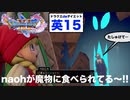 いや。まじで、今回は本当に落ちないから!!!絶対落ちないから!!!!【ドラクエ11Sdeダイエット！英#15】荒野の迷宮探索〜デンダ討伐まで。