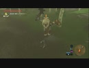 【実況】猶（なお）の伝説　ブレスオブザスーパープレイヤー【ゼルダの伝説】part40