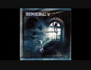 Sinergy - I Spit on Your Grave