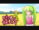 【ポケモン剣盾】果実と綿毛と旋転パ【こうそくスピン統一】