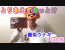 【擬似ウナギ】土用の丑の日にウナギが高くて買えなかったので安い擬似ウナギ〈ウナギもどき〉を買って食ってみた（俺の食レポ）[俺のシリーズ]