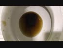 M&M'sとダイエットコーラをトイレに流してみた