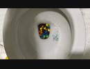 M&M'sとビーフジャーキーをトイレに流してみた