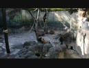 江戸川区自然動物園