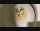 M&M'sとポテトチップスとプリンをトイレに流してみた