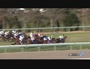 【競馬】 第71回 阪神ジュベナイルフィリーズ (G1) 2019　