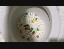 M&M'sとマシュマロをトイレに流してみた２