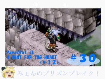 ゆっくり みょんちゃんプリンズンブレイク Ss ダークセイバー ３０ Nicozon