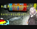 私と魚釣りしませんか？～その１６　すてっぷあっぷ！～
