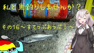 私と魚釣りしませんか？～その１６　すてっぷあっぷ！～