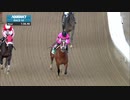 【競馬】2019 シガーマイルH　マキシマムセキュリティ