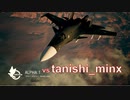 Ace Combat 7 Extra113 バトルロイヤル タニシ氏とのタイマン総集編