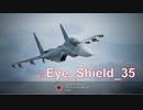 Ace Combat 7 Extra116 バトルロイヤル アイシールド氏とのタイマン総集編