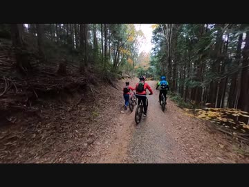 おっさんとMTBのある休日50