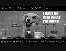 自分が一体何をしてるのかさっぱりわからない。(I HAVE NO IDEA WHAT I'M DOING)