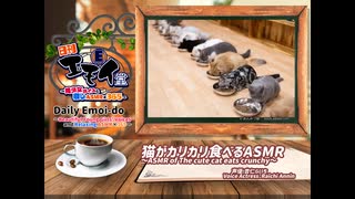日刊エモイ堂　猫がカリカリ食べるASMR(杏仁らいち)　