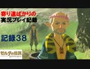 【寄り道ばかりの】ゼルダの伝説BotW【実況プレイ記録38】ゾーラ族その後とマイホーム