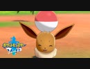 【実況】新たな仲間とともにバウタウンへ向けて出発！ 13【ポケットモンスターソード】