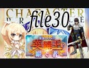【英雄王を継ぐ者】ナナリーとキャラクタープロファイル　file30【千年戦争アイギス】