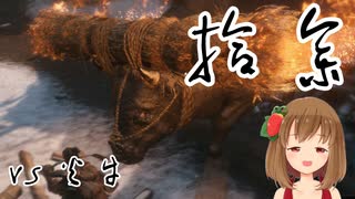 【SEKIRO】マウスとキーボードで戦国に忍ぶ！ 実況 其の拾参 【PC版】