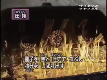 ホモと学ぶマーガリンができるまで