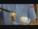 China Recommendation--Du an