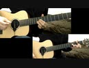 スピカ / 新田恵海 (acoustic guitar cover)