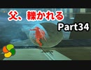 【実況】今年で定年を迎える父をハイラルの大地に放り込むPart34【ゼルダの伝説BotW】