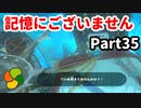【実況】今年で定年を迎える父をハイラルの大地に放り込むPart35【ゼルダの伝説BotW】